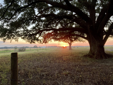 Visit Holly's Horse Farm