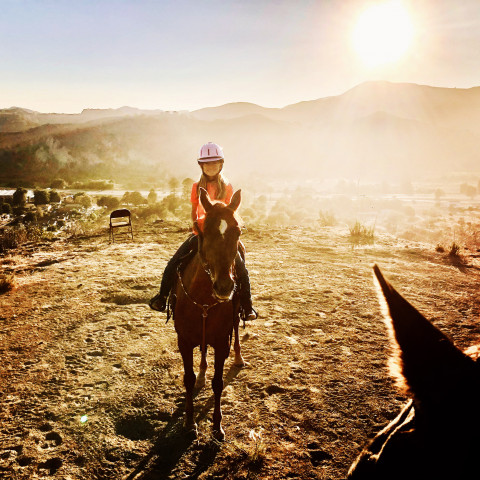 Visit Equestrians Excellence LLC