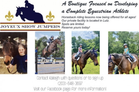 Visit Joyeux Show Jumpers LLC