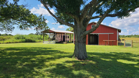 Visit Federated Farms in INDIANTOWN, MARTIN COUNTY