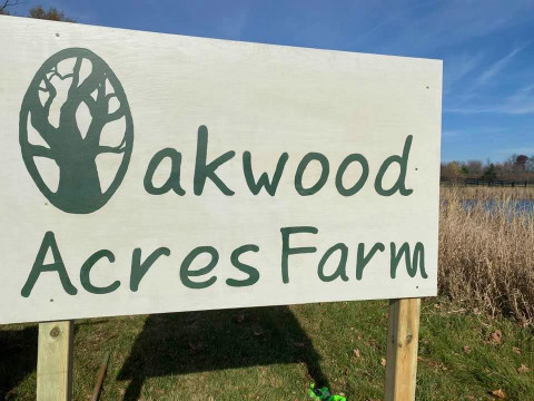 Visit Oakwood Acres Farm Horseback Riding Lessons
