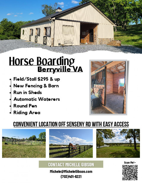 Visit Lakeview Farm Equestrian