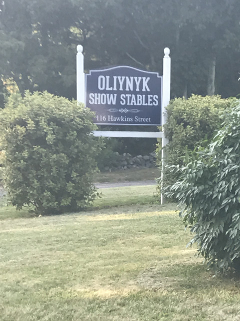 Visit David Oliynyk