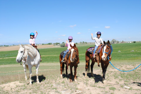 Visit Triple L Farm - Summer Horse Camp