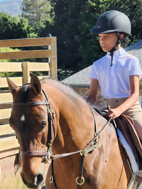 Visit Castle Rock Arabians, Nancy Dupont