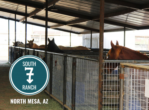 Visit South 7 Ranch