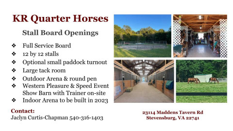 Visit KR Quarter Horses.LLC.