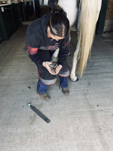 Visit Farrier