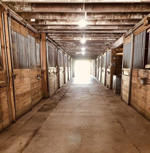 Visit KW Horse & Cattle Co.