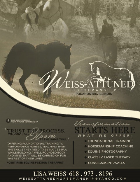 Visit Weiss Attuned Horsemanship