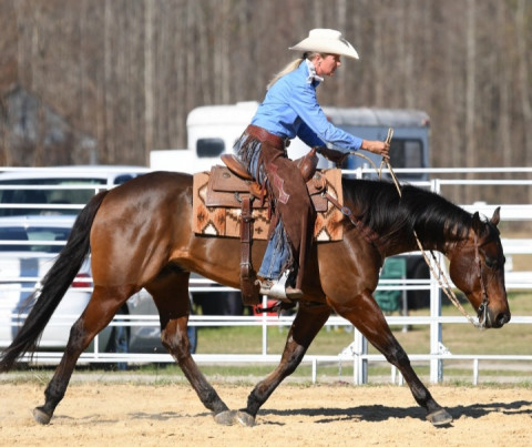 Visit Murphrey Quarter Horses