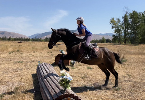 Visit Susan "Drue" Kerns Lesson and Training, LLC