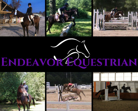 Visit Endeavor Equestrian- Professional Traveling Hunter/Jumper Instructor