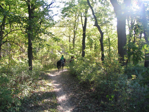 Visit Prado Park Equestrian Center