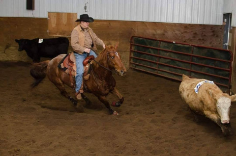 Visit Rocking L Horse Training Service's LLC & Horsemanship Education Center