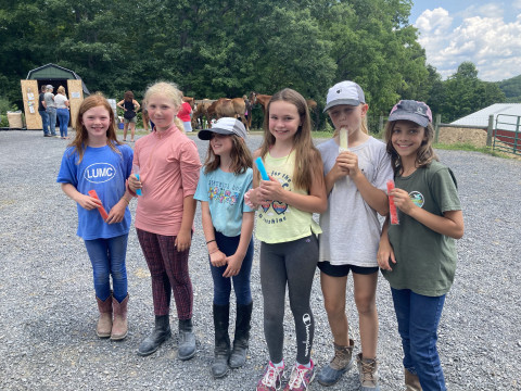 Visit Mounted Blessing LLC Horse Day Camp