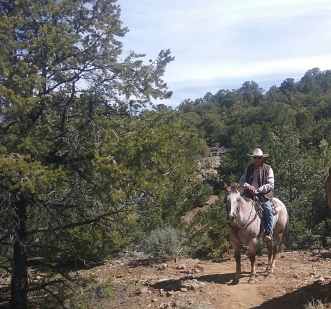 Visit MacArthur Quarter Horses Boarding Stables