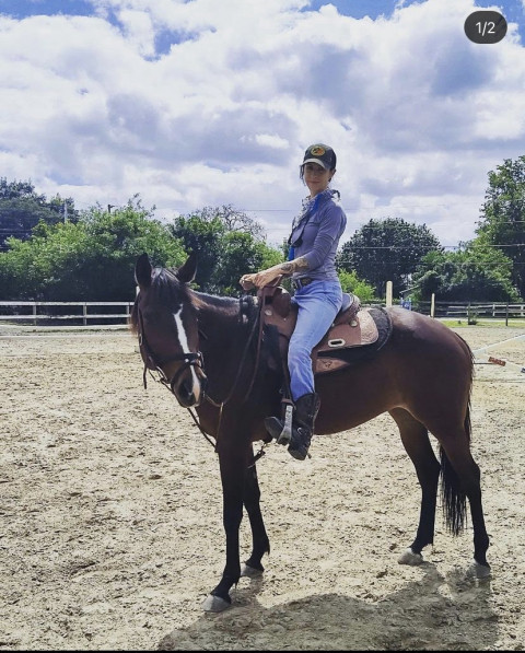Visit Horse for lease