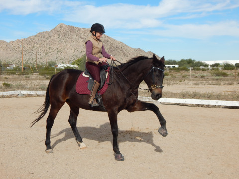 Visit Heart to Hoof Horsemanship - Classical Riding - Bitless