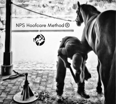 Visit Barefoot Specialist / NPS Hoofcare Method®️