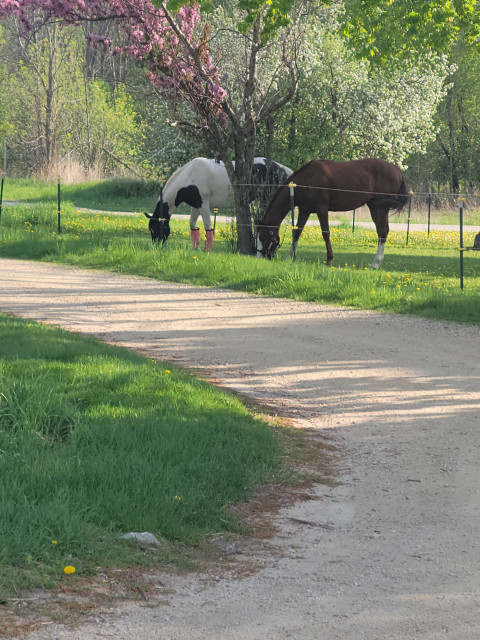 Visit Brookside Ranch