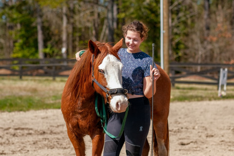 Visit Golden Hour Equestrian