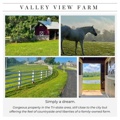 Visit Valley View Farm ? Horse's Paradise!