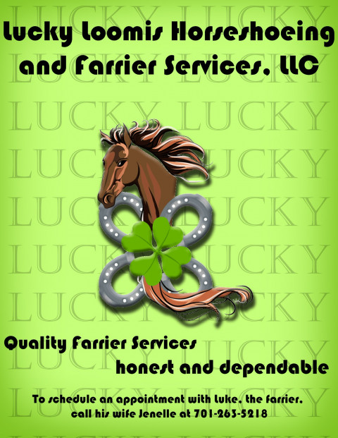 Visit Lucky Loomis Horseshoeing and Farrier Services, LLC