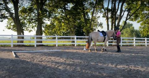 Visit Equine Connection Freelance Training- Annemieke Buis