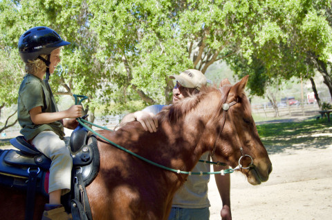 Visit Equestrians Excellence Summer Pony Camp Sessions