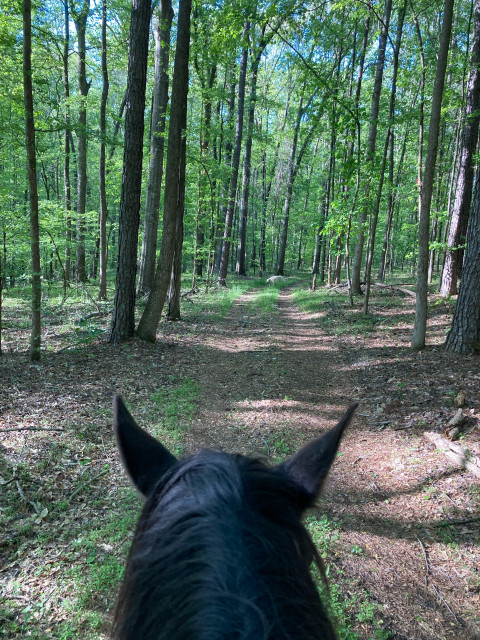 Visit Apalachee Meadows