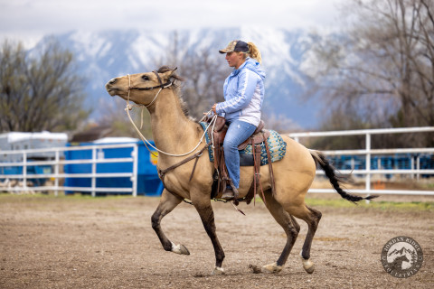 Visit Jordan Ridge Equestrian