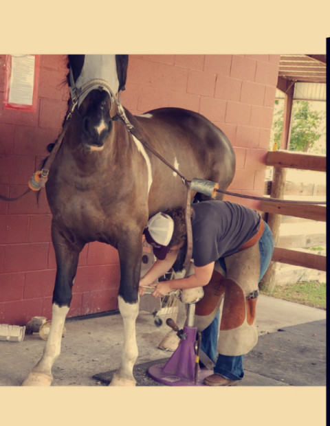 Visit 4L Farrier Services LLC