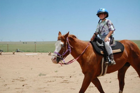 Visit GandT Diamond Horse Ranch