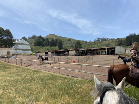 Visit Presidio Riding Club