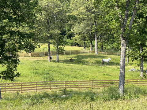 Visit Painted Pastures
