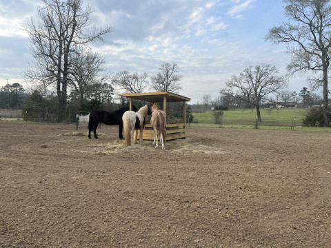 Visit Gilmer Horse boarding at JT Dbl B Ranch