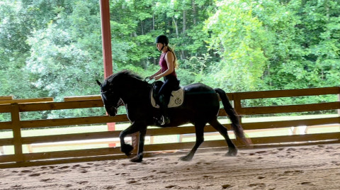 Visit Circle C Acres/CBC Aspire Equestrian