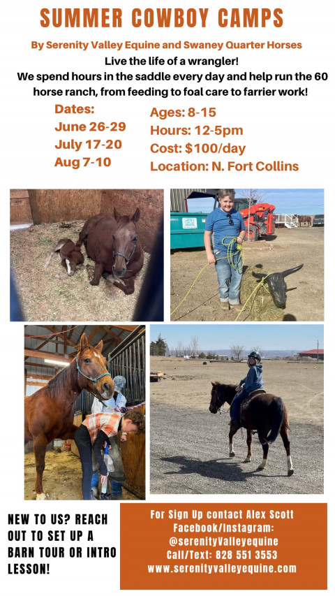 Visit Serenity Valley Equine Summer Camp