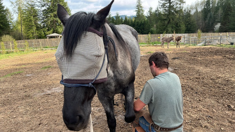 Visit Tim Day Hoof Care