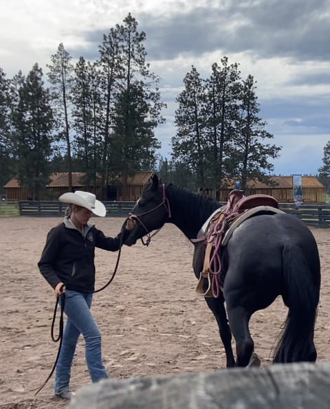 Visit Ronnie's Horse Training