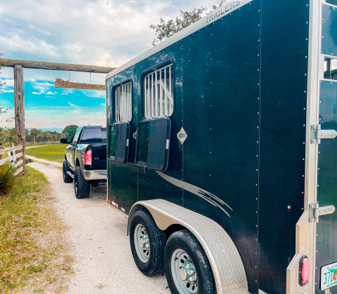 Visit Central Florida Equine Solutions