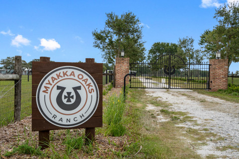 Visit Myakka Oaks Ranch