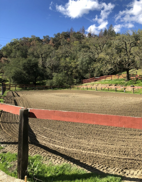 Visit Pasture Boarding in Saint Helena, CA