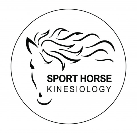 Visit Sport Horse Kinesiology