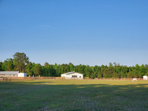 Visit Wild Horse Ranch