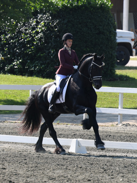 Visit Kelly Coyne Dressage