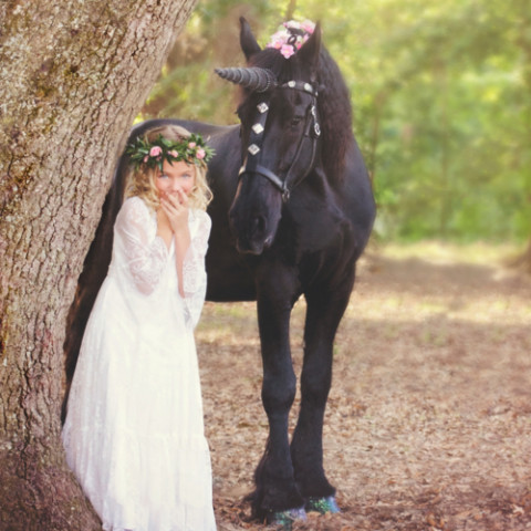 Visit Denver Equestrians Riding School