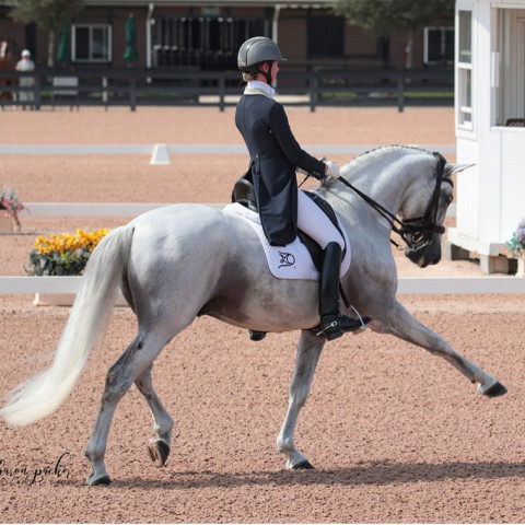 Visit Jessica Starck Dressage