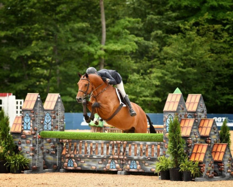 Visit Hunter /Jumper - Lessons and Training